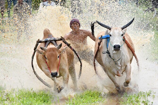 West Sumatra Private Tour from Padang By Private Car - A Deep Dive into the West Sumatra Private Tour