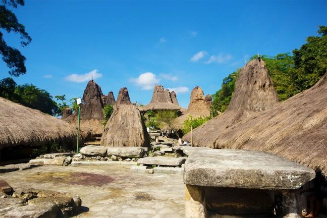 West Sumba: Highlights Tour With Ancient Villages - Village Exploration