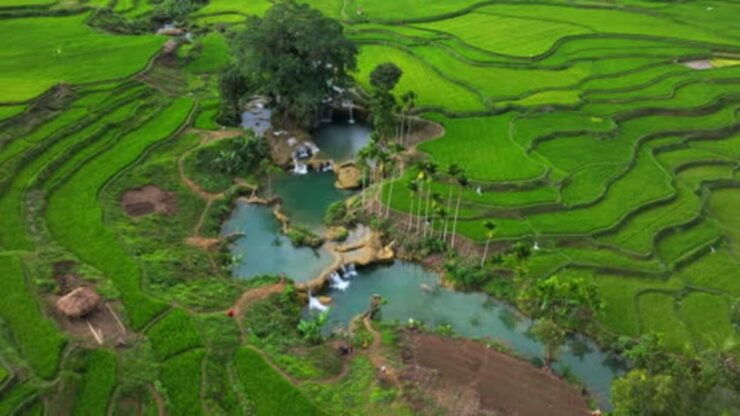 West Sumba : Waterfall Tour Full Day - Itinerary Highlights