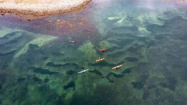 West Sweden: Best of the West - Discovering Marine Life and Culture