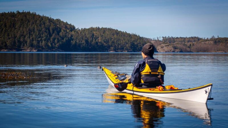 West Sweden: Paddle with seals - Wildlife Spotting: Seals, Birds, and Beyond