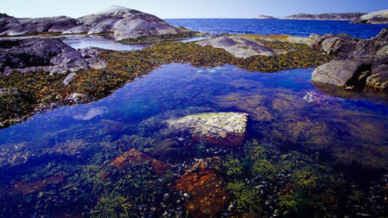 West Sweden: Self Guided Kayak Tour - Southern Route - Exploring the Coast of West Sweden
