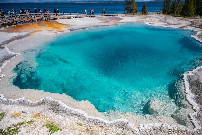 West Thumb Geysers Self-Guided Walking Audio Tour - Tour Features and Benefits