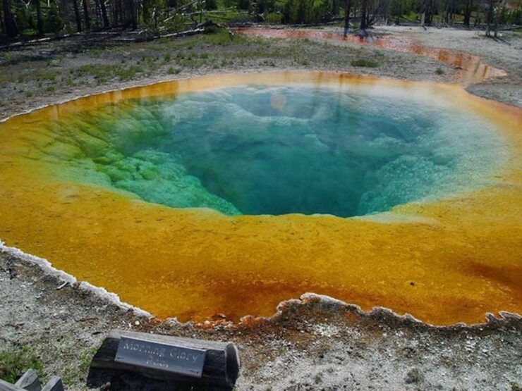 West Yellowstone: Yellowstone Day Tour Including Entry Fee - Tour Highlights and Itinerary