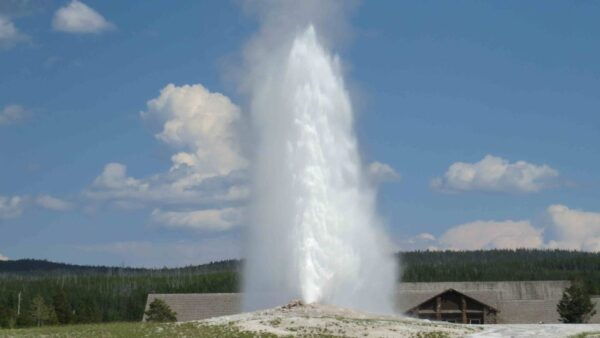 West Yellowstone: Yellowstone Day Tour Including Entry Fee - Common Questions