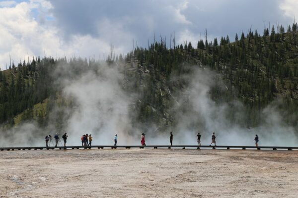 West Yellowstone: Yellowstone Day Tour Including Entry Fee - The Sum Up