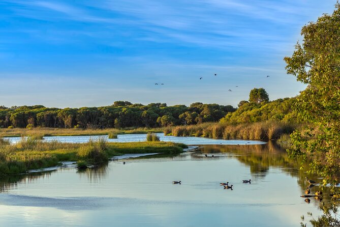 Western Australia'S Paradise: a Private Day Tour From Perth - Transportation and Logistics