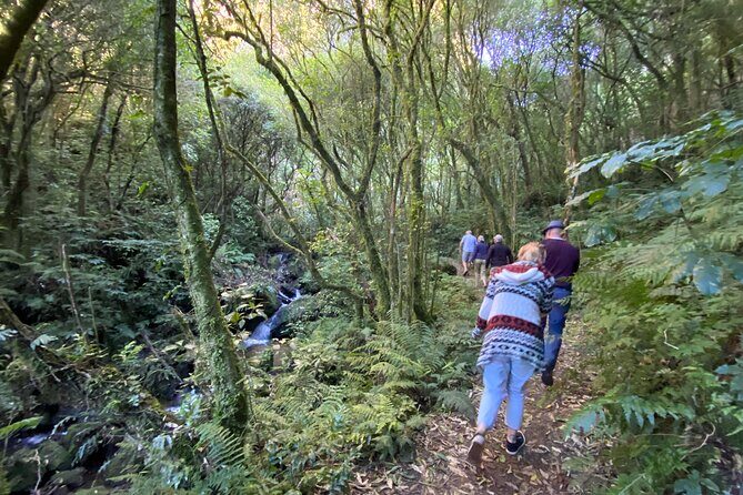 Western Bays Sightseeing Tour from Kinloch Lake Taupo - The Experience: What Sets It Apart
