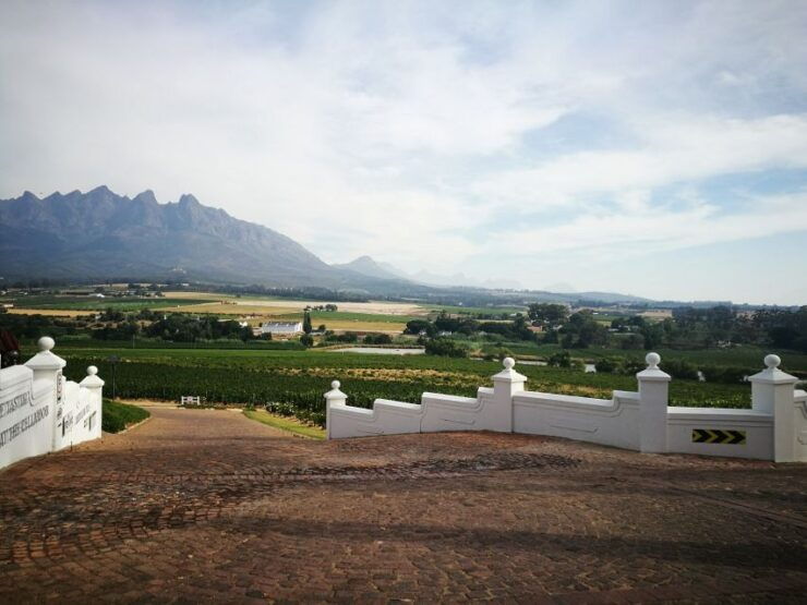 Western Cape: Winelands Tasting and Cellar Tour With Guide - Activity Highlights