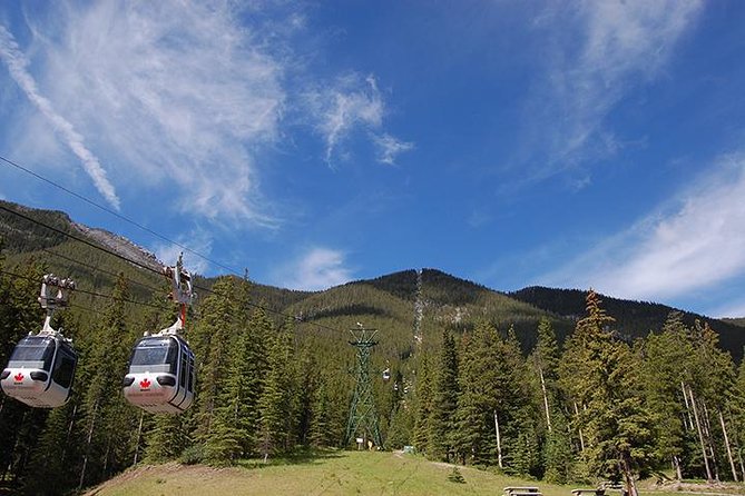 Western Classic - One Way Calgary To Vancouver Rockies Bus Tour - Reviews