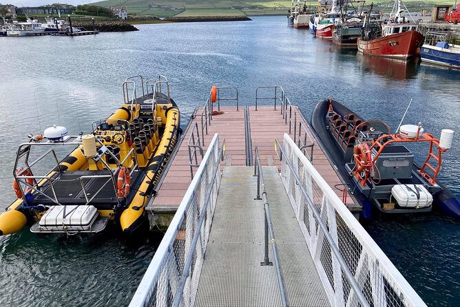Western Ireland: Dingle Peninsula Small-Group RIB Boat Tour - Maximum of 12 Travelers