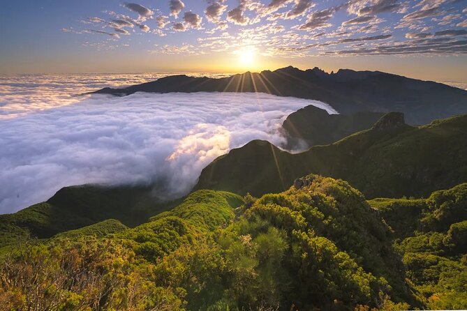 Western Island Small-Group Tour From Funchal - Common Questions