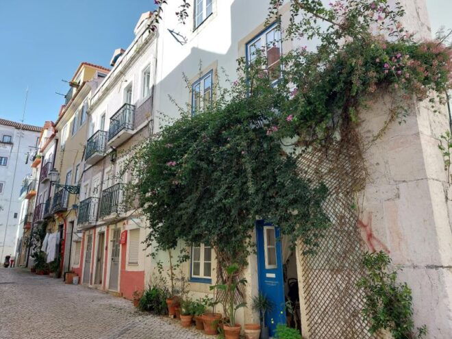 Western Lisbon: Tradition Meets Change (Walking Tour) - Includes