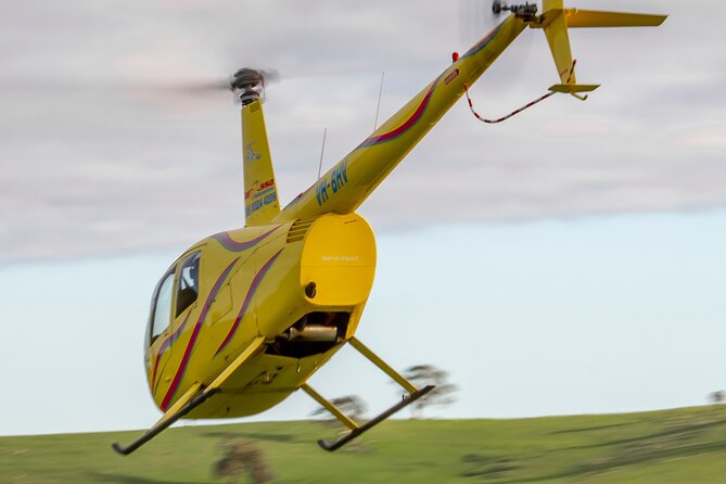 Western Ridge & Valley Floor: 20-Minute Helicopter Flight - Flight Details