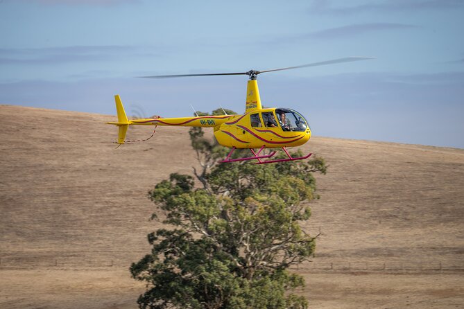 Western Ridge & Valley Floor: 20-Minute Helicopter Flight - Cancellation Policy