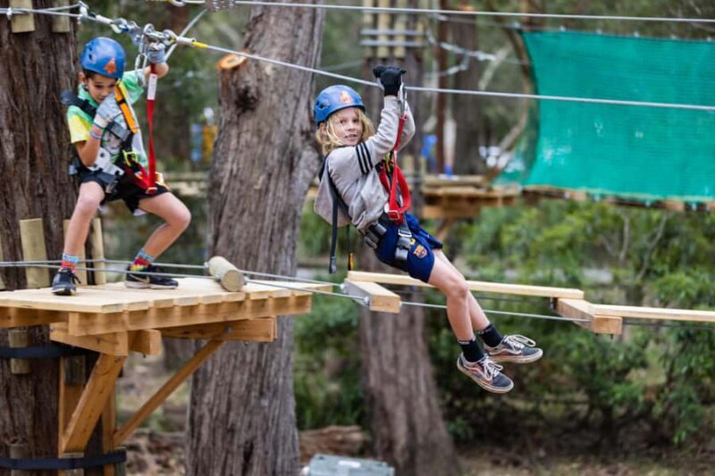 Western Sydney: Junior Tree Ropes Courses - Good To Know