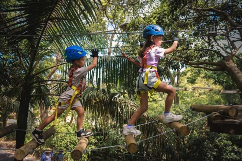 Western Sydney: Junior Tree Ropes Courses - The Value of the Experience