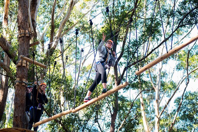 Western Sydney Tree Ropes Course - The Details of Your Aerial Adventure