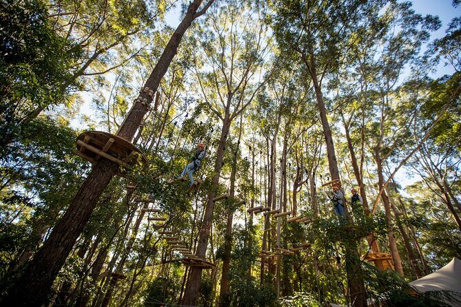 Western Sydney Tree Ropes Course - Final Thoughts