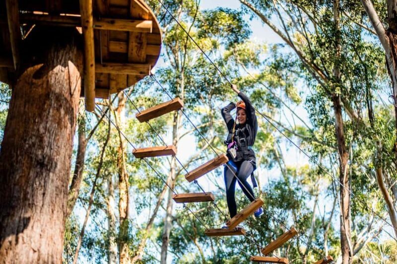 Western Sydney: Tree Ropes Courses - Good To Know