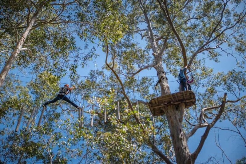 Western Sydney: Tree Ropes Courses - An In-Depth Look at the Experience