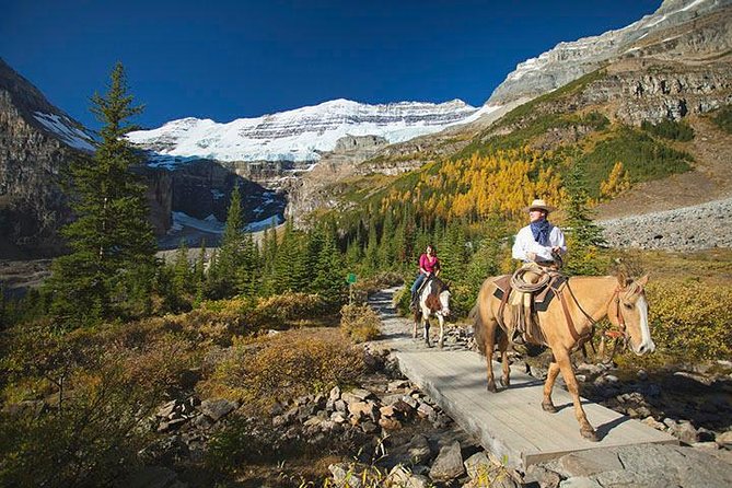 Western Trails - One Way Vancouver To Calgary Rockies Bus Tour - Traveler Photos and Reviews