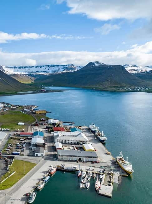 Westfjords Express Half-Day Tour from Ísafjörður - Good To Know