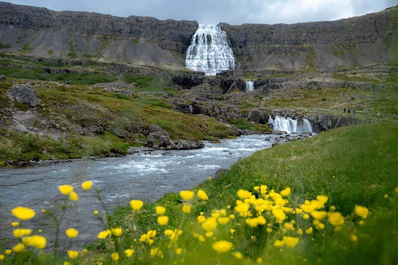 Westfjords Express Half-Day Tour from Ísafjörður - FAQs