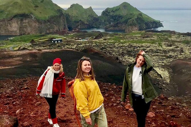 Westman Islands Premium Tour 6 Persons - The Sum Up