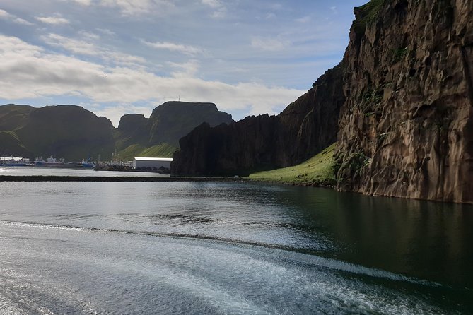 Westman Islands Private Tour - Puffin Colony and so Much More - Private Tour Overview