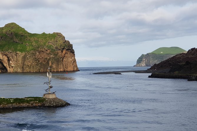 Westman Islands Private Tour - Puffin Colony and so Much More - Wildlife Search and Puffin Colony
