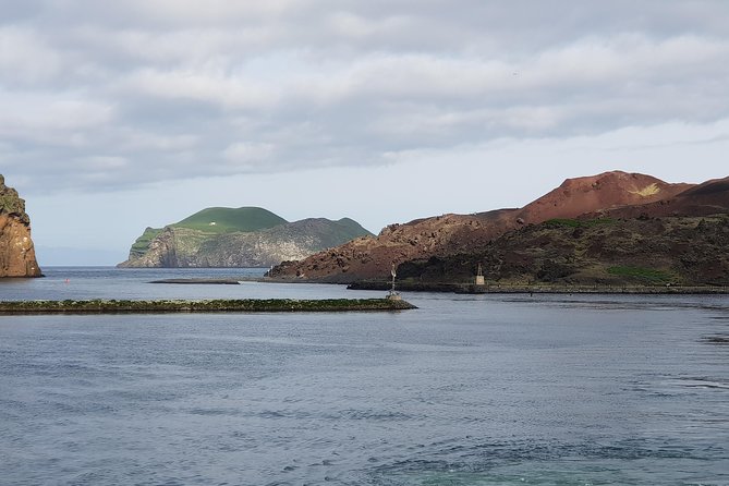 Westman Islands Private Tour - Puffin Colony and so Much More - Common Questions