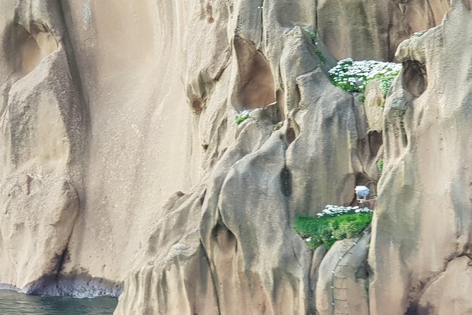 Westman Islands Private Tour - Puffin Colony and so Much More - The Sum Up