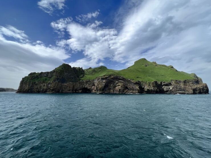 Westman Islands Private Tour - Tour Details