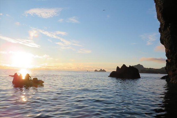 Westman Islands RIB Cruise  - Heimaey Island - Viator Help Center