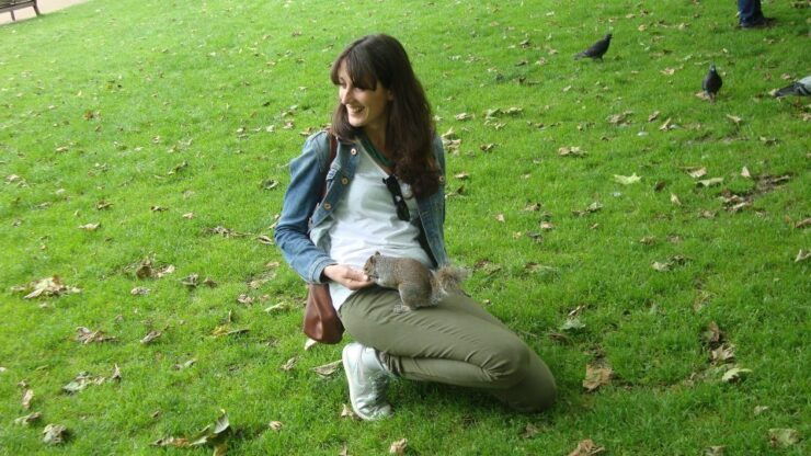 Westminster E National Gallery Tour Di 3,5 Ore in Italiano - Tour Duration and Starting Times