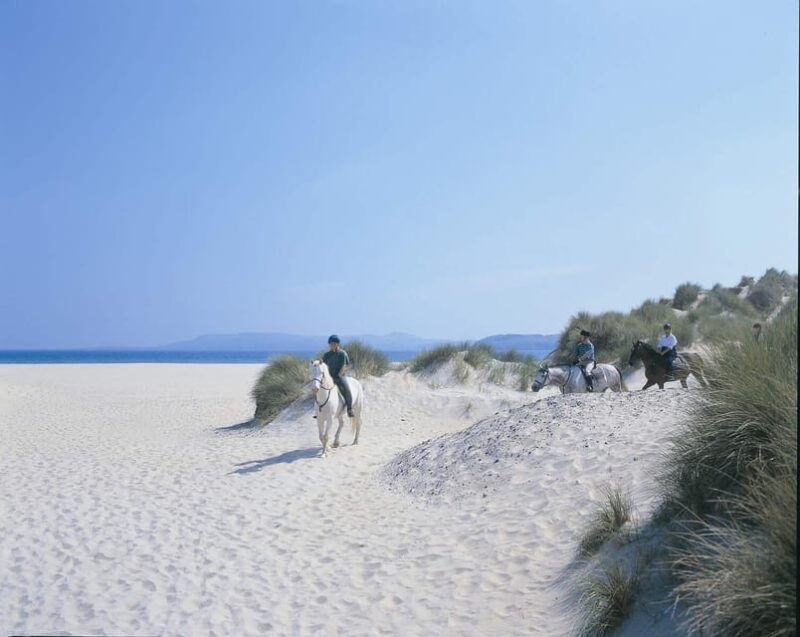 Westport: Beach and Countryside Guided Horse Ride - Good To Know