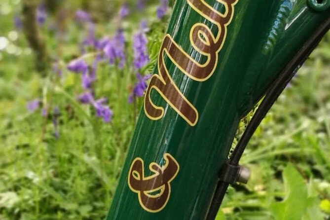 Westport Shuttle Bus to Achill Island With Electric Bikes 10 Am - Reviews and Ratings