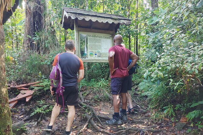 Wet and Rugged Dominica - Exploring Dominica’s Natural Wonders