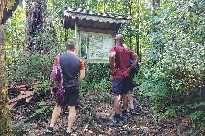 Wet and Rugged Dominica - Who Will Love This Tour?