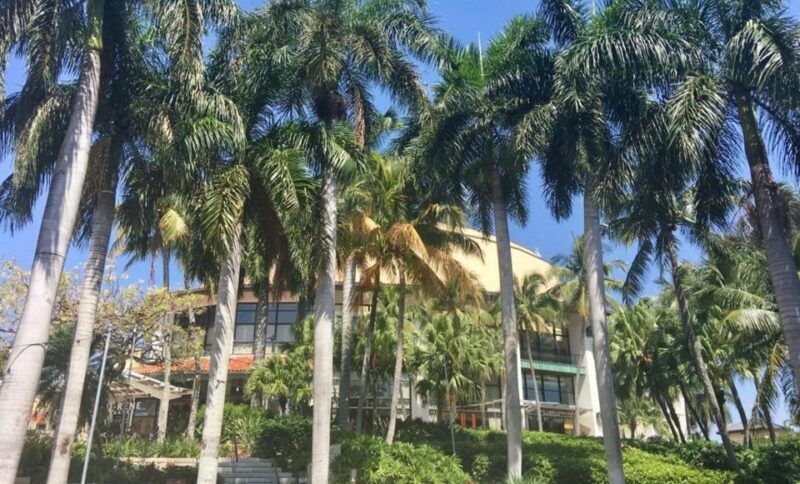 Wet & Dry Fort Lauderdale - The Mini Cruise: Gliding Through Millionaires’ Row