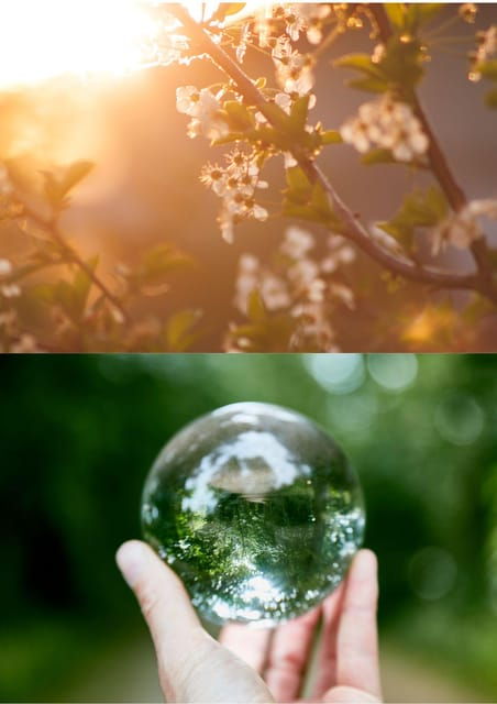 Wexford: A Mindful Retreat Forest Bathing & Nature Therapy - Who Would Benefit Most?