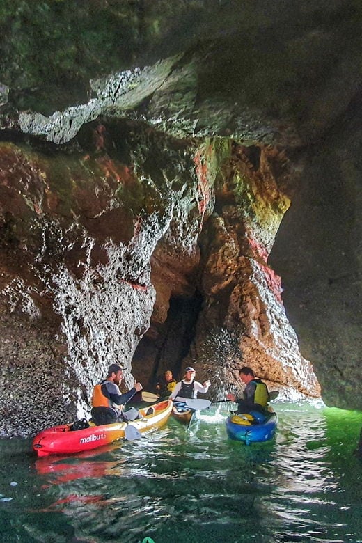 Wexford: Hell Hole & Back Sea Cave Kayaking - Good To Know
