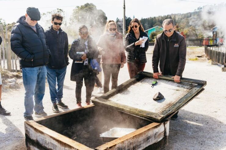 Whaka Village Guided Tour & Self-Guided Geothermal Trails - Highlights of the Whaka Village Guided Tour
