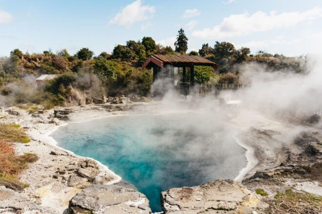 Whaka Village Guided Tour & Self-Guided Geothermal Trails - Additional Tour Options for a Varied Experience
