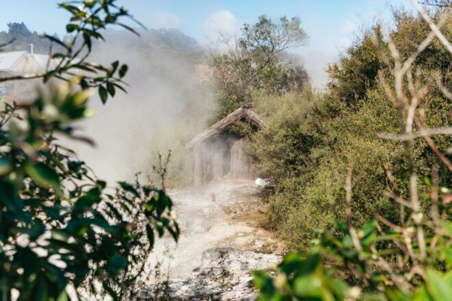 Whaka Village Guided Tour & Self-Guided Geothermal Trails - Benefits of the Whaka Village Experience