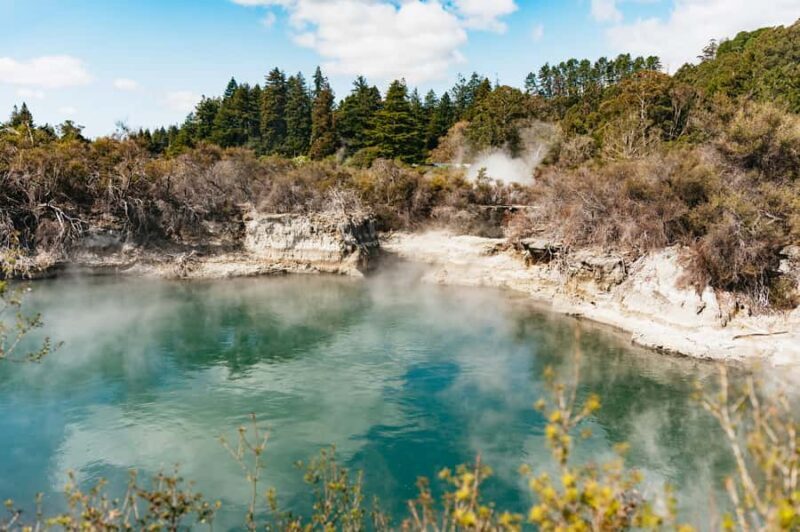 Whakarewarewa: Self-Guided Geothermal Trails - Exploring Whakarewarewa: What You Can Expect