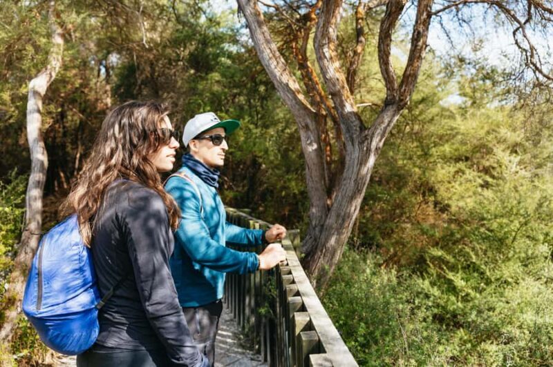 Whakarewarewa: Self-Guided Geothermal Trails - Authentic Reviews and Insights