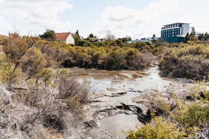 Whakarewarewa: Self-Guided Geothermal Trails - Who Will Love This Experience?