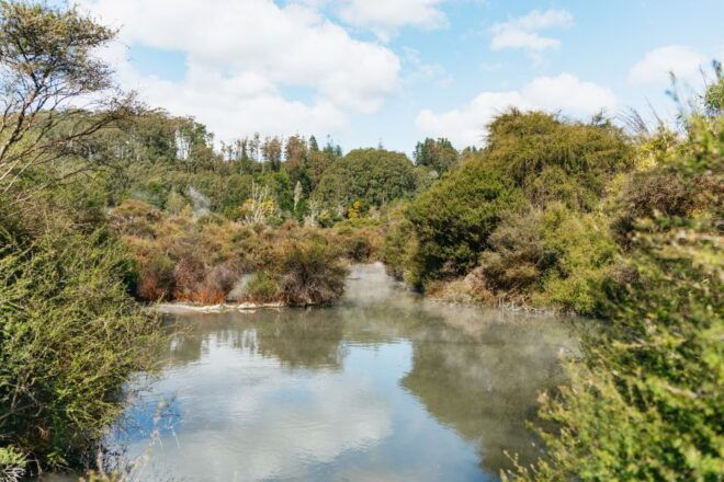 Whakarewarewa: Te Whakaurunga Ki Ngā Ara HōTaka - Related Activities